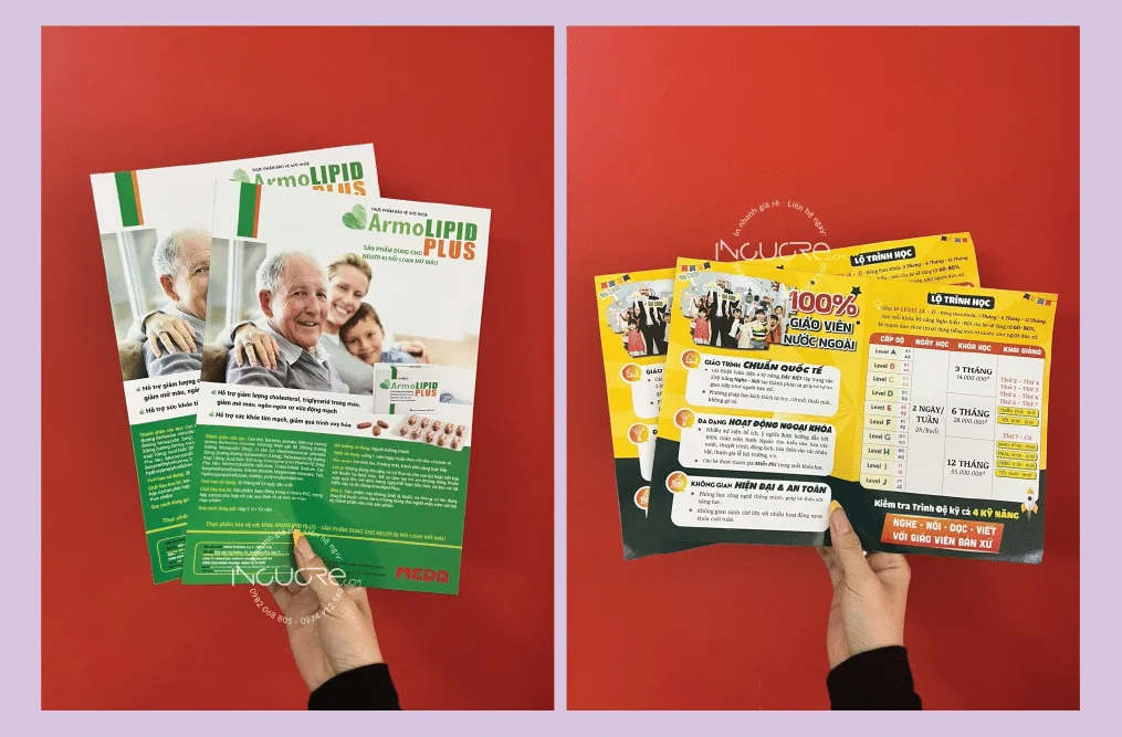 thiet ke in brochure